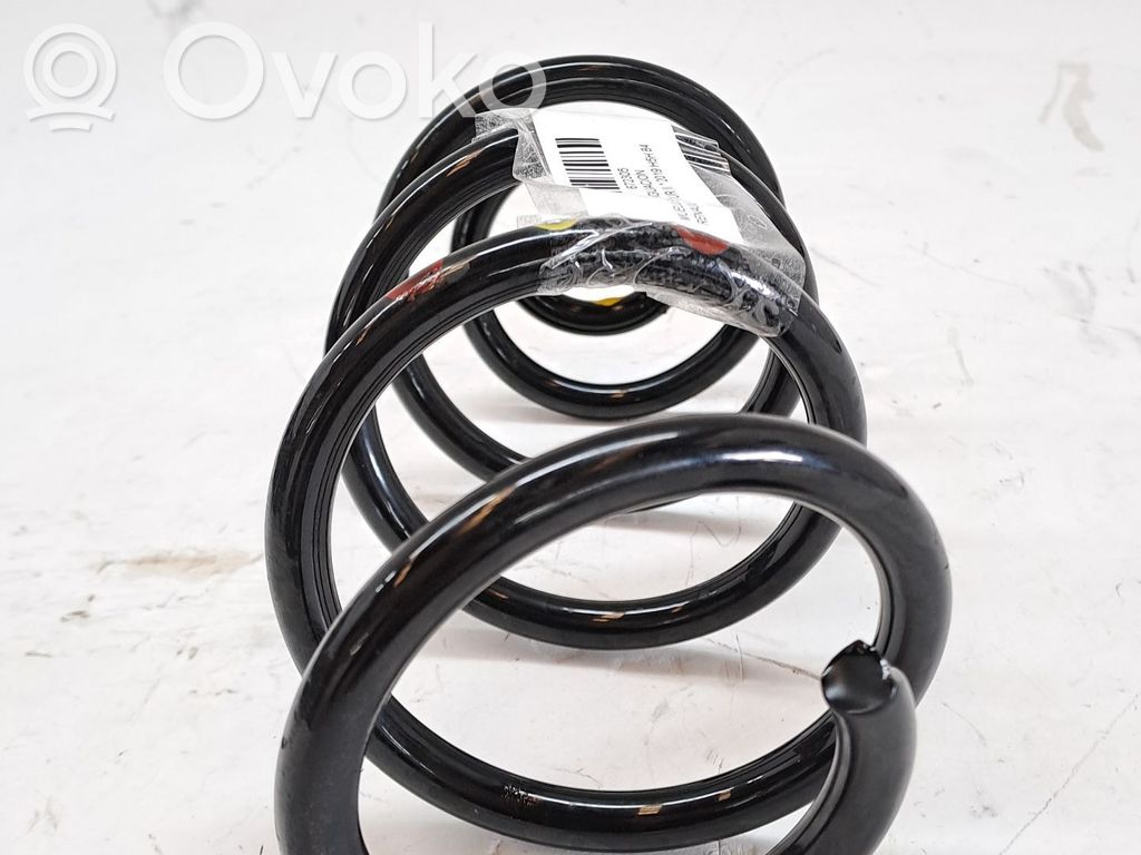 Front coil spring   550200248R