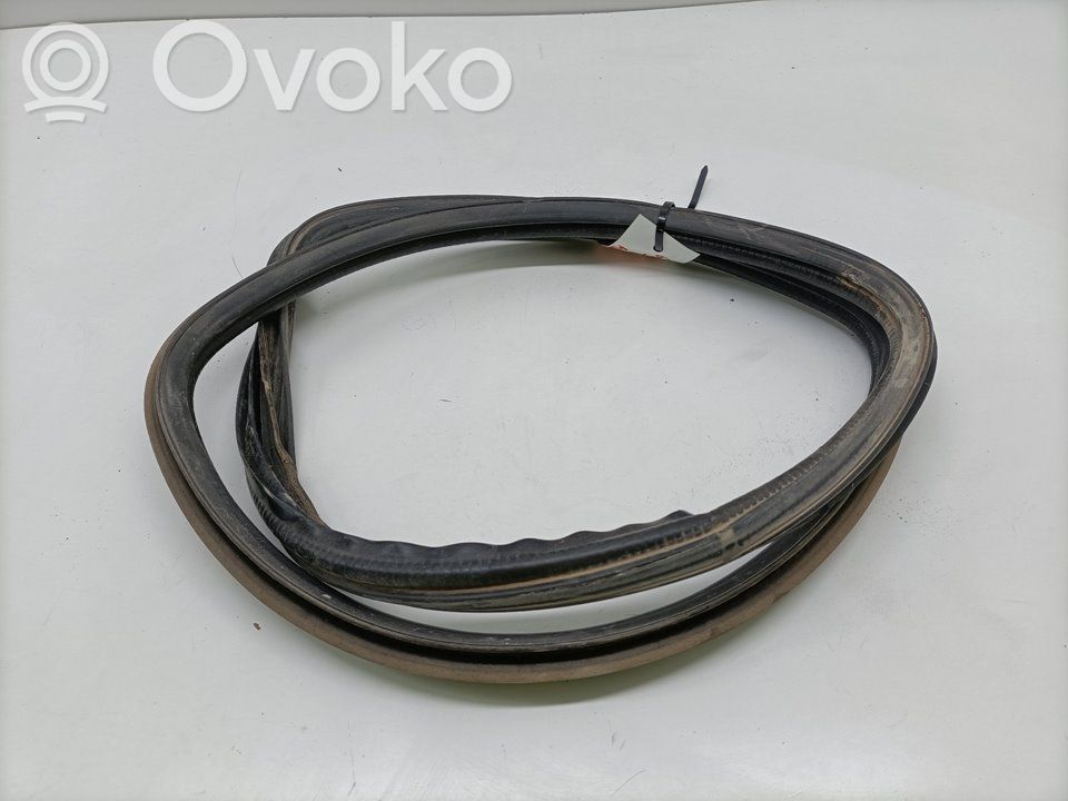 Nissan Terrano Etuoven kumitiiviste 