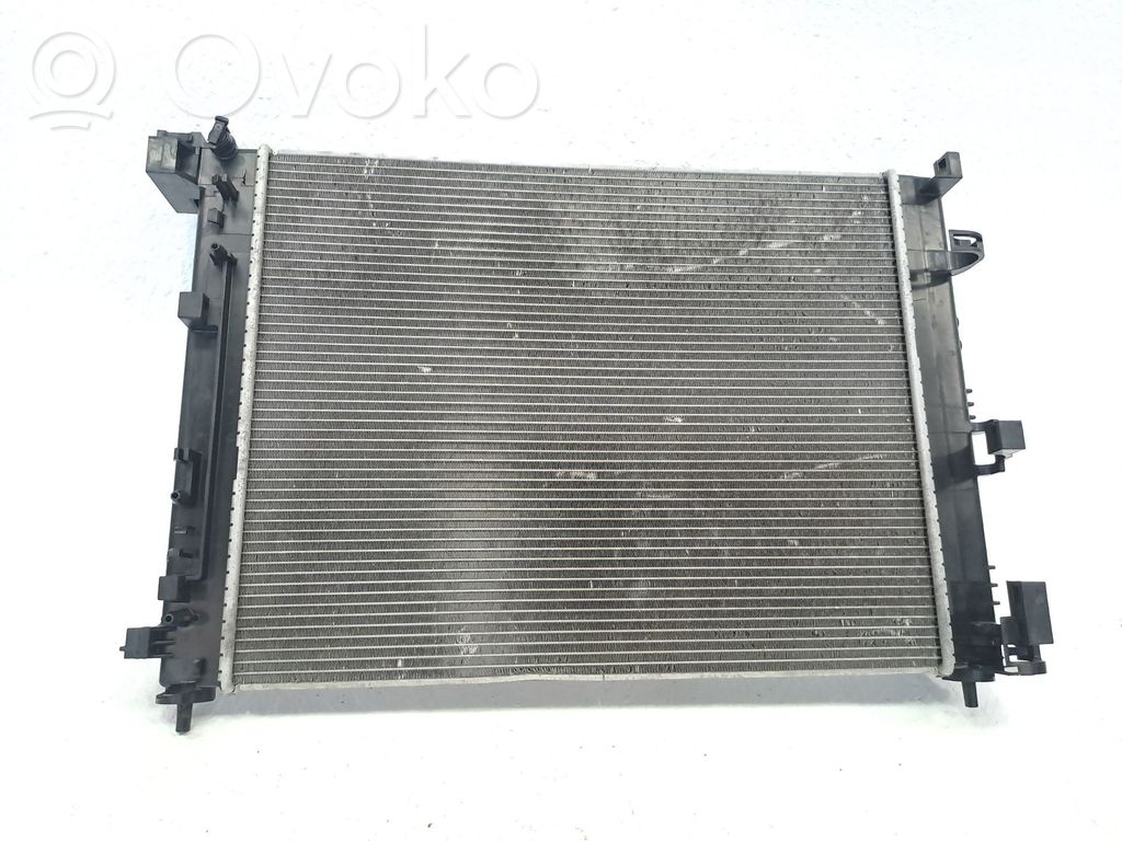 Radiatore di raffreddamento   214105FA0A
