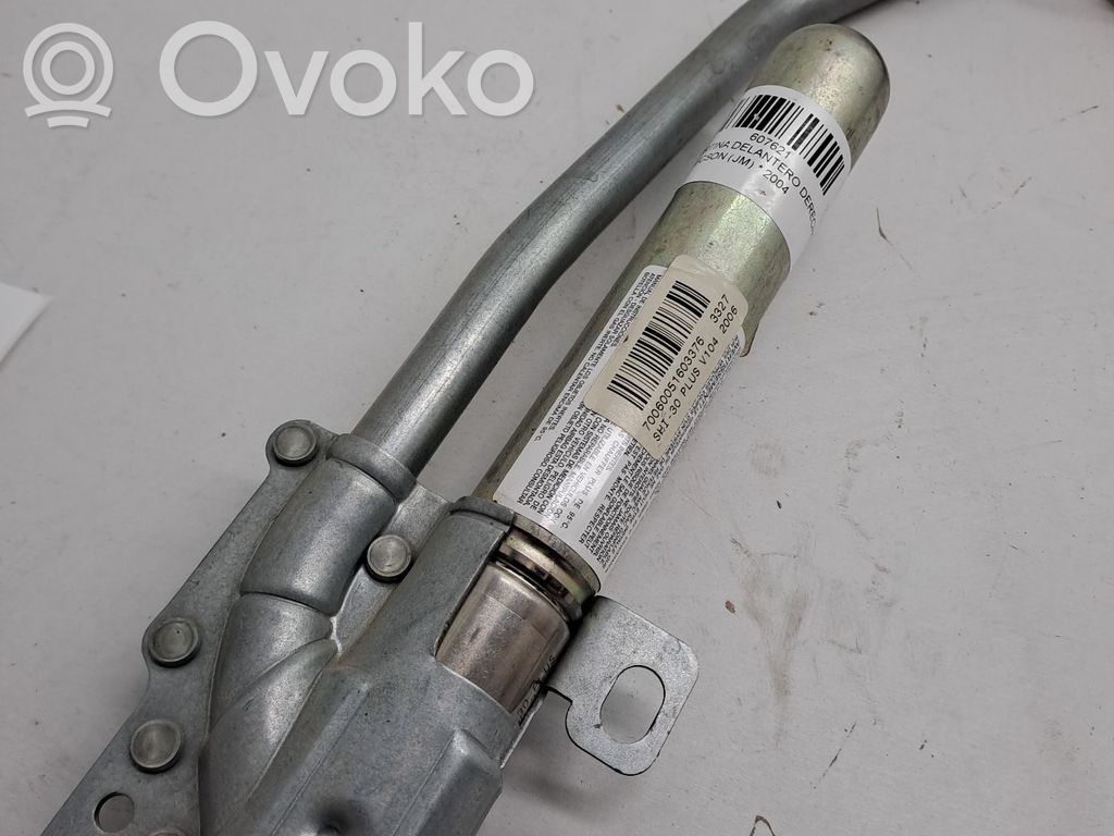 Airbag del techo   850202E000