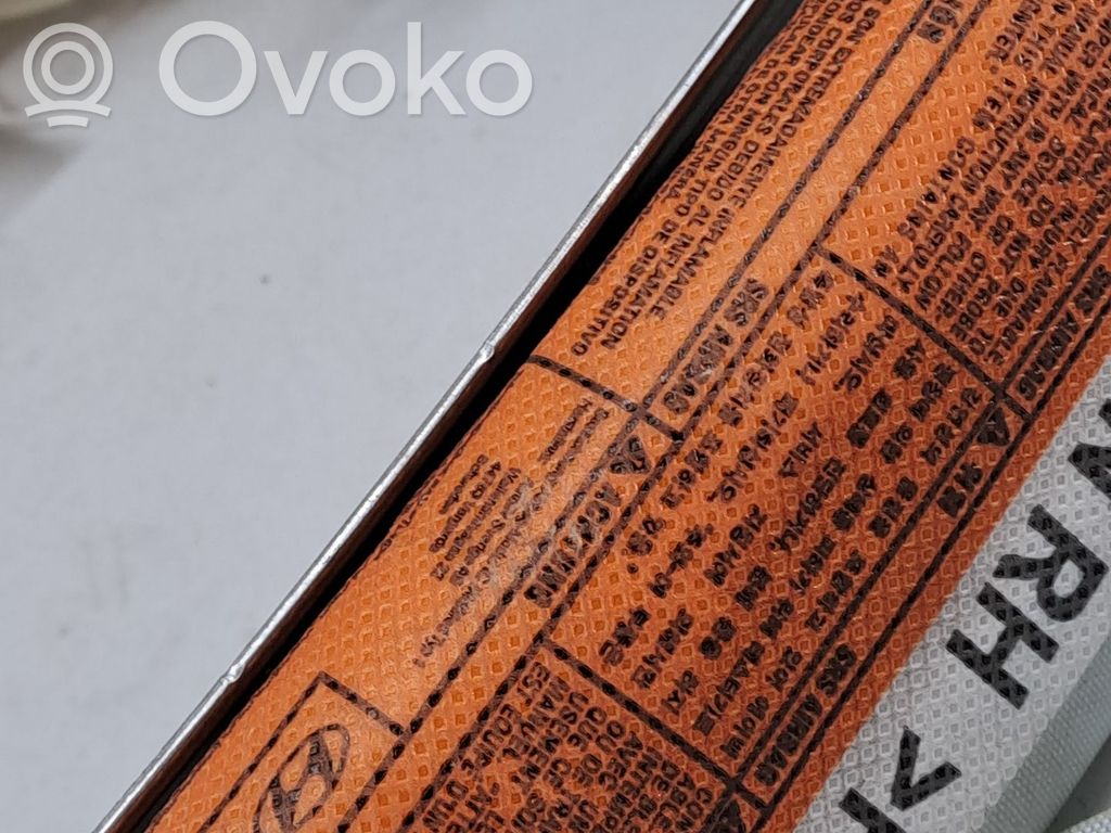 Airbag del techo   850201P000