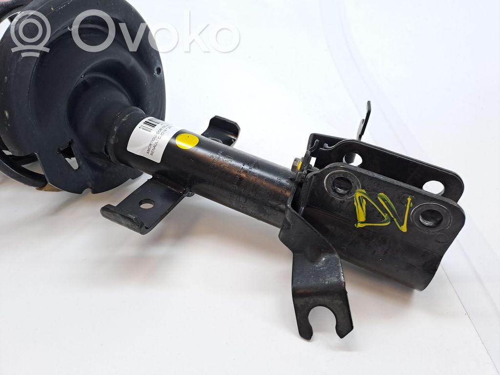 Stoßdämpfer vorne   543028420R,543024644R