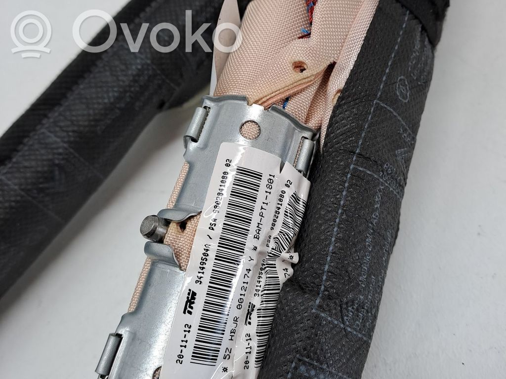 Kurtyna airbag   9802841080