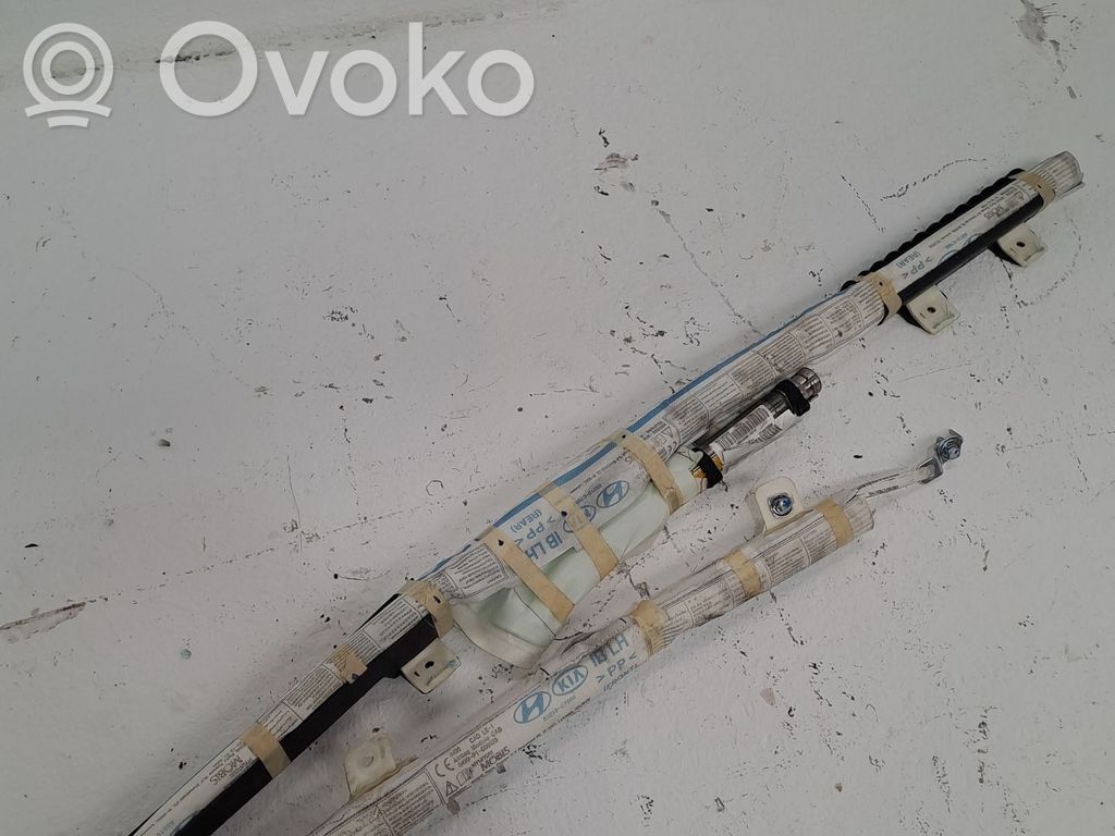 Airbag del techo   85010C7000