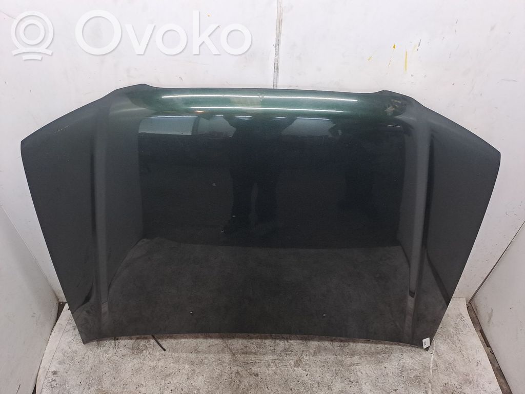 Vano motore/cofano   57229SA0009P