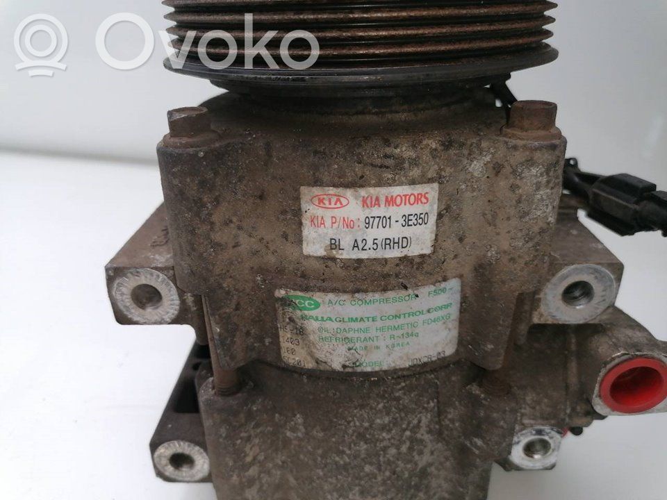 Klimakompressor Pumpe   977013E350