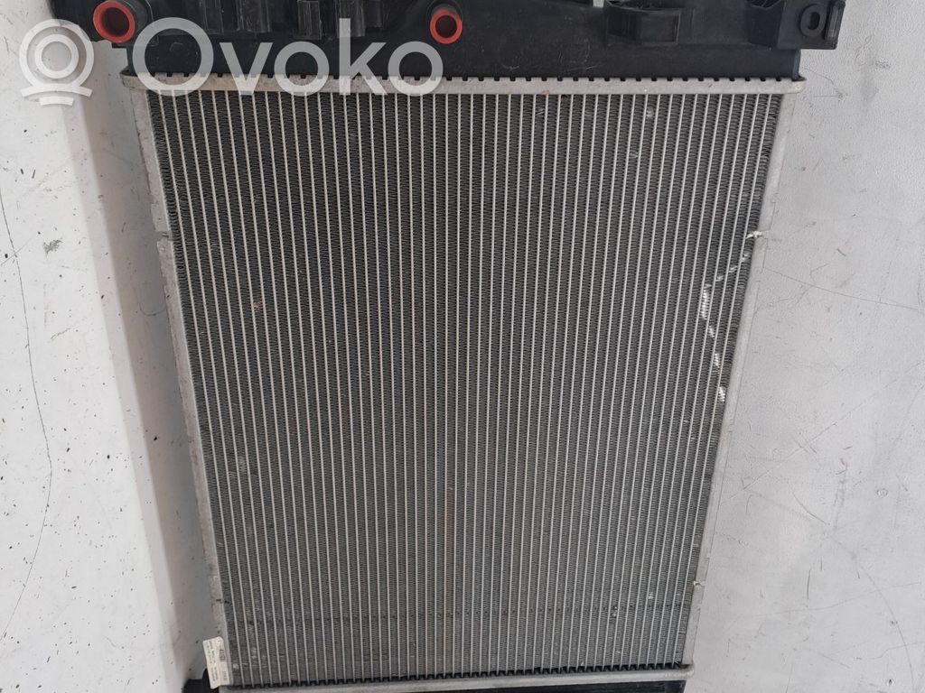 Radiador del refrigerante   214104950R