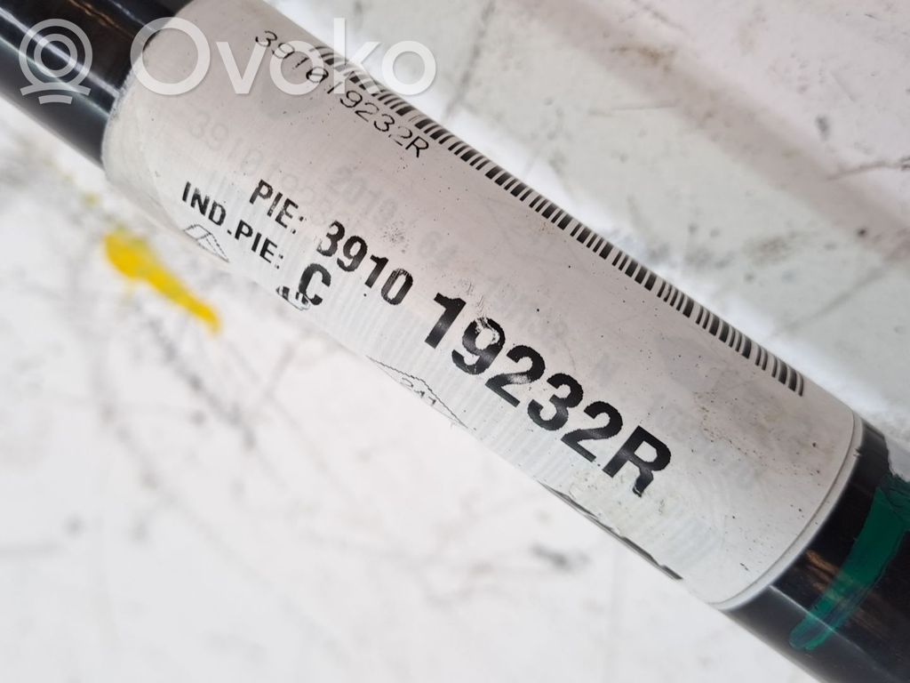 Renault Zoe Planetară față 