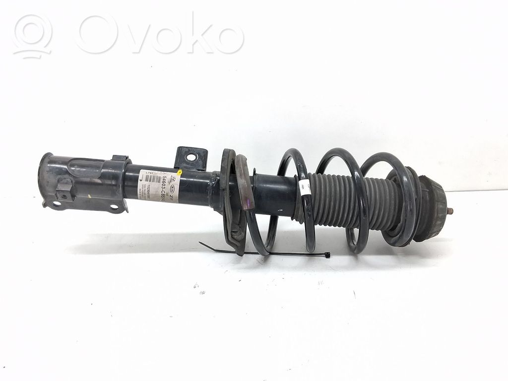 Hyundai i20 (PB PBT) Stoßdämpfer vorne 