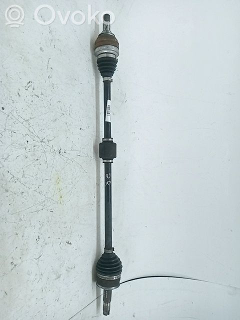 Priekinis pusašis   95194881