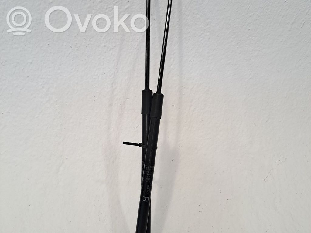 Tailgate/trunk/boot lid buffer   10393725