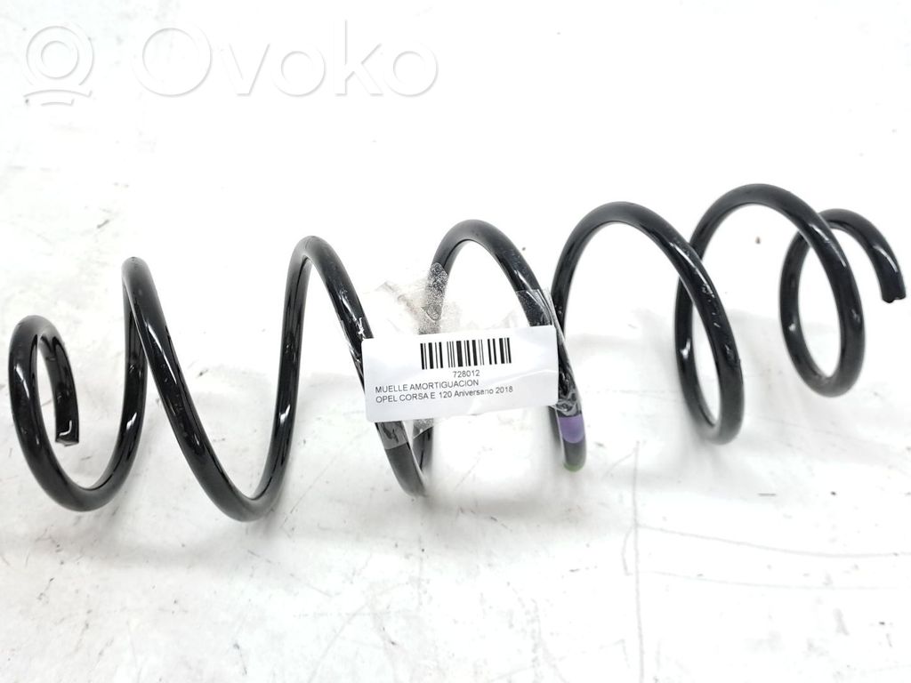 Muelle espiral delantero   9828919580