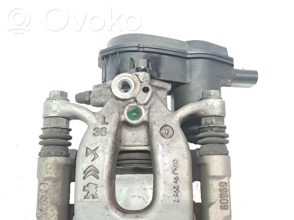 Takajarrusatula   9842295280