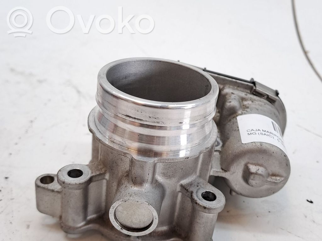 Throttle body valve   10991391,F01R00Y121
