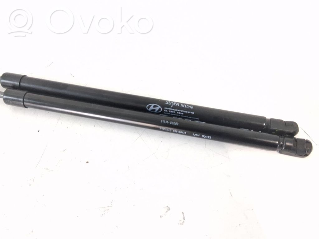 Hyundai i20 Active Tampon hayon/capotă portbagaj