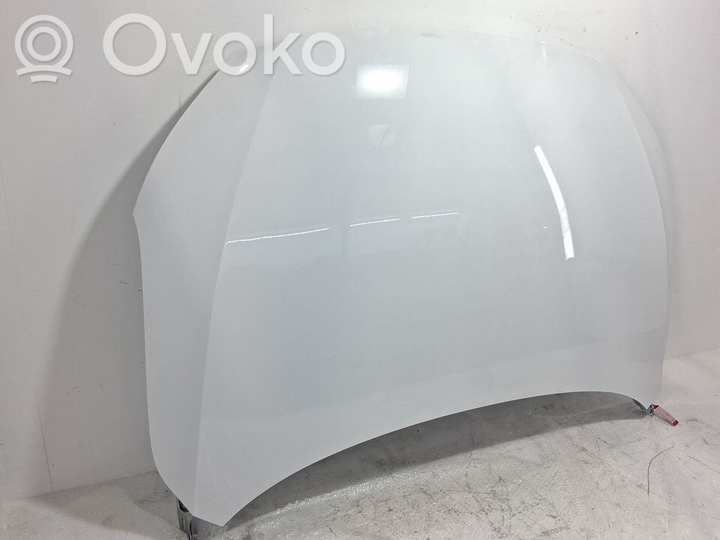 MG ZS Motorhaube 
