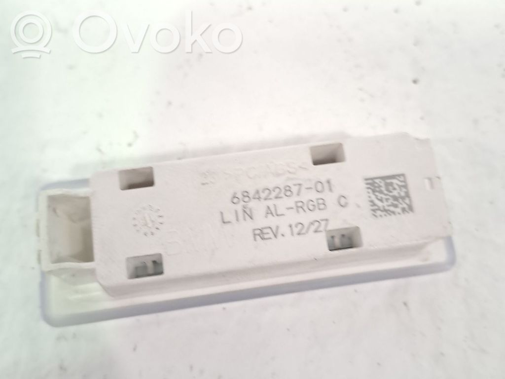 BMW X3 F25 Consola de luz del techo 