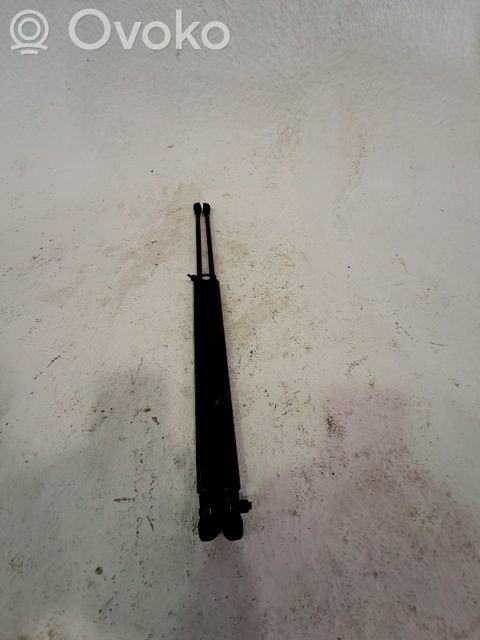 Fiat 500 Tailgate/trunk/boot lid buffer 
