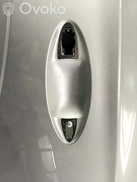 Puerta trasera   551001210AA