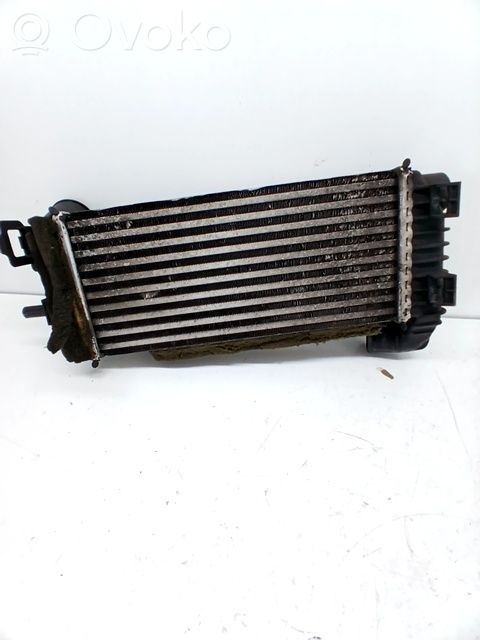 Radiador intercooler   2027395,BV619L440CK