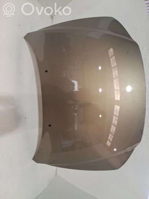 Capó/tapa del motor   30796490