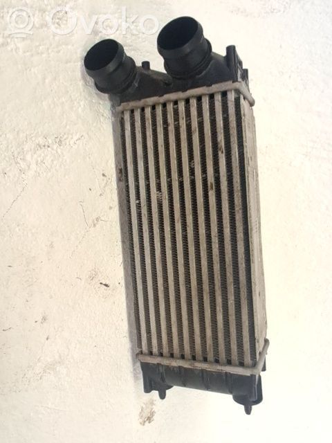Radiator intercooler   0384N9