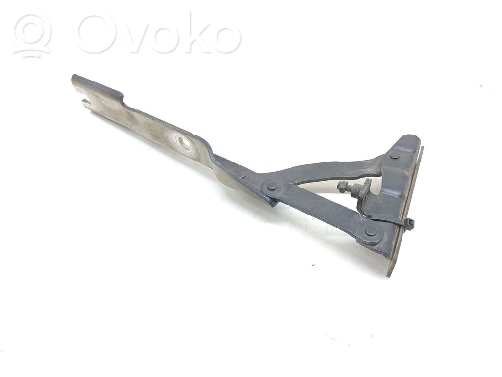 Bisagras del capó/tapa del motor   41617008727