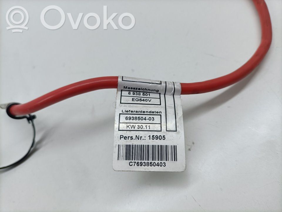 Cableado positivo   6938504,6938504,692850403