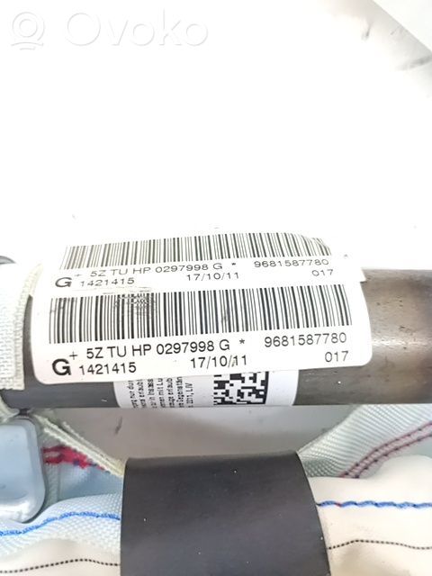 Citroen C3 Picasso Airbag da tetto 