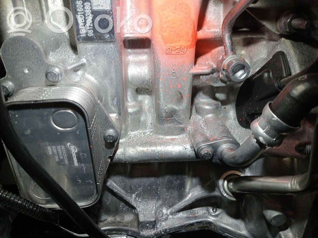 Peugeot 2008 I Motore completo 