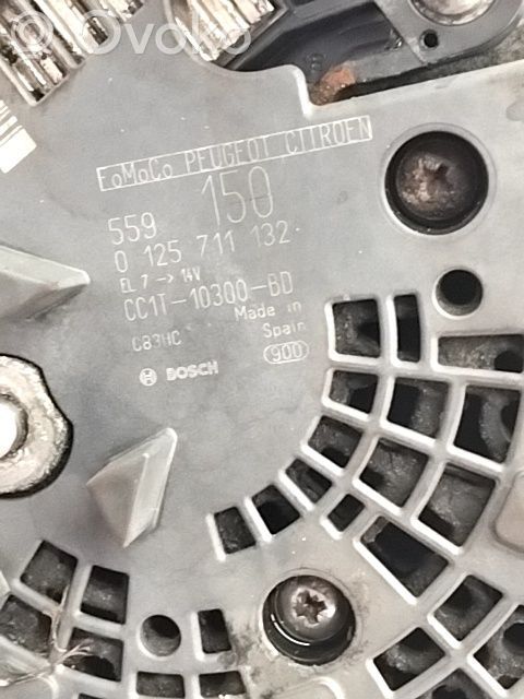 Ģenerators   2073243,RECC1T10300BD