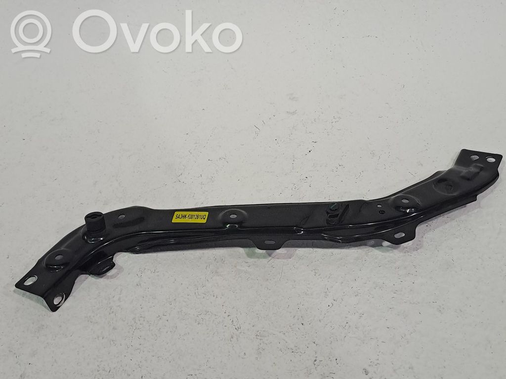 BYD Seal U Pedală accelerație 