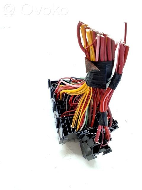 Fuse module   243800831R