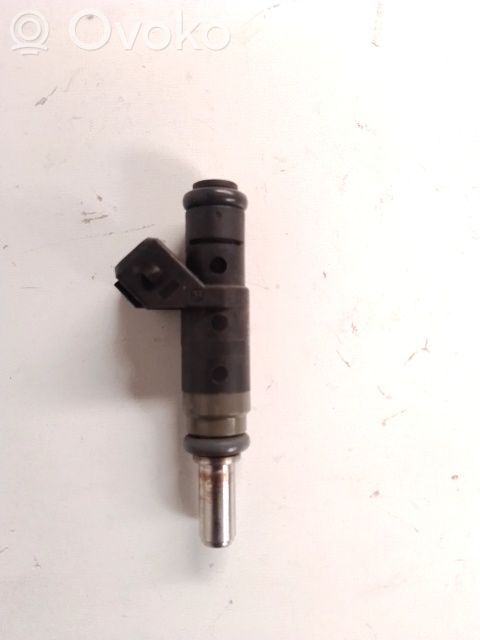 Injector combustibil   13537506158