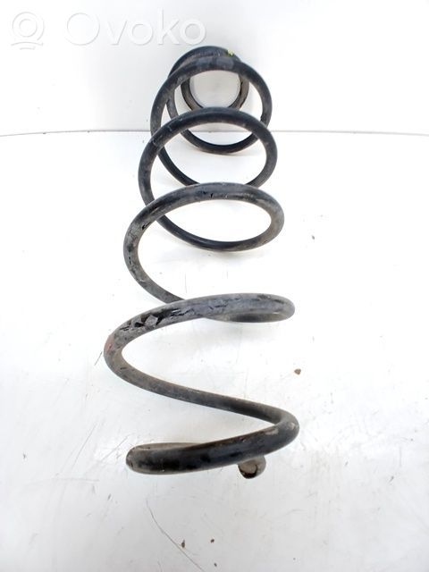 Front coil spring   5102G4,5002LL