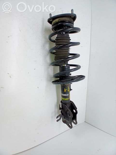 Amortiguador delantero   GMM634900