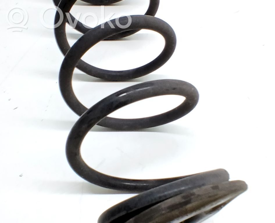 Front coil spring   5F0511121B