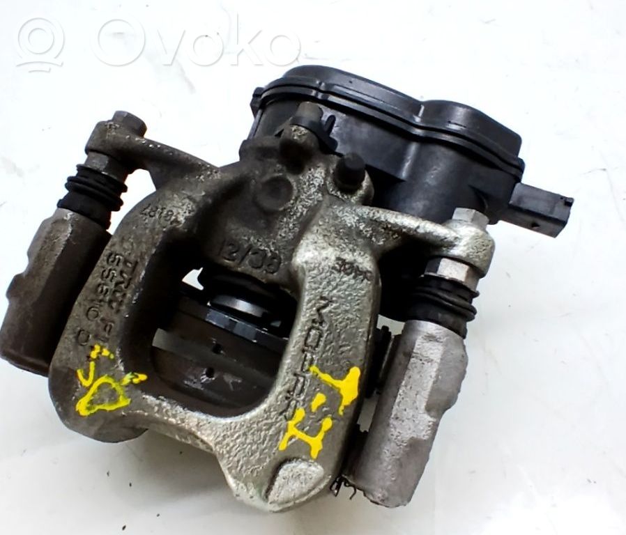 Takajarrusatula   52029648