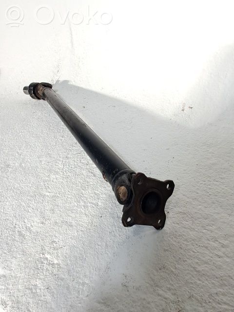 Eje trasero   2710256B01