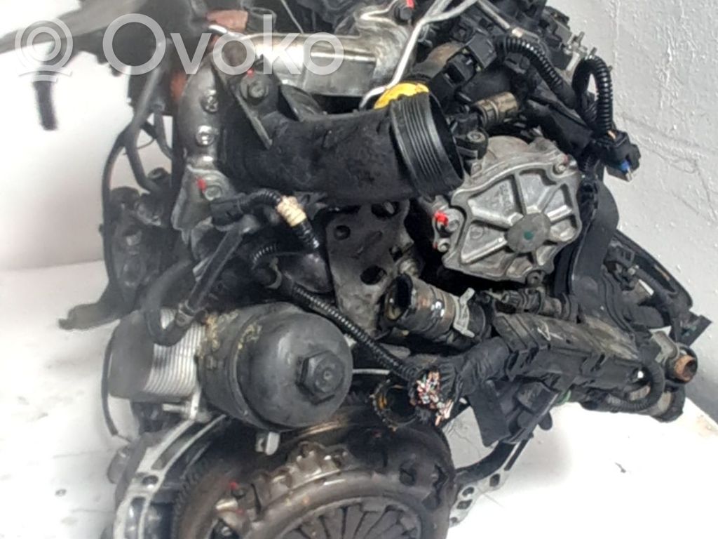 Motor completo   8H01,135RP