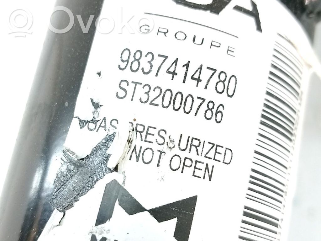 Opel Corsa F Amortizor față 