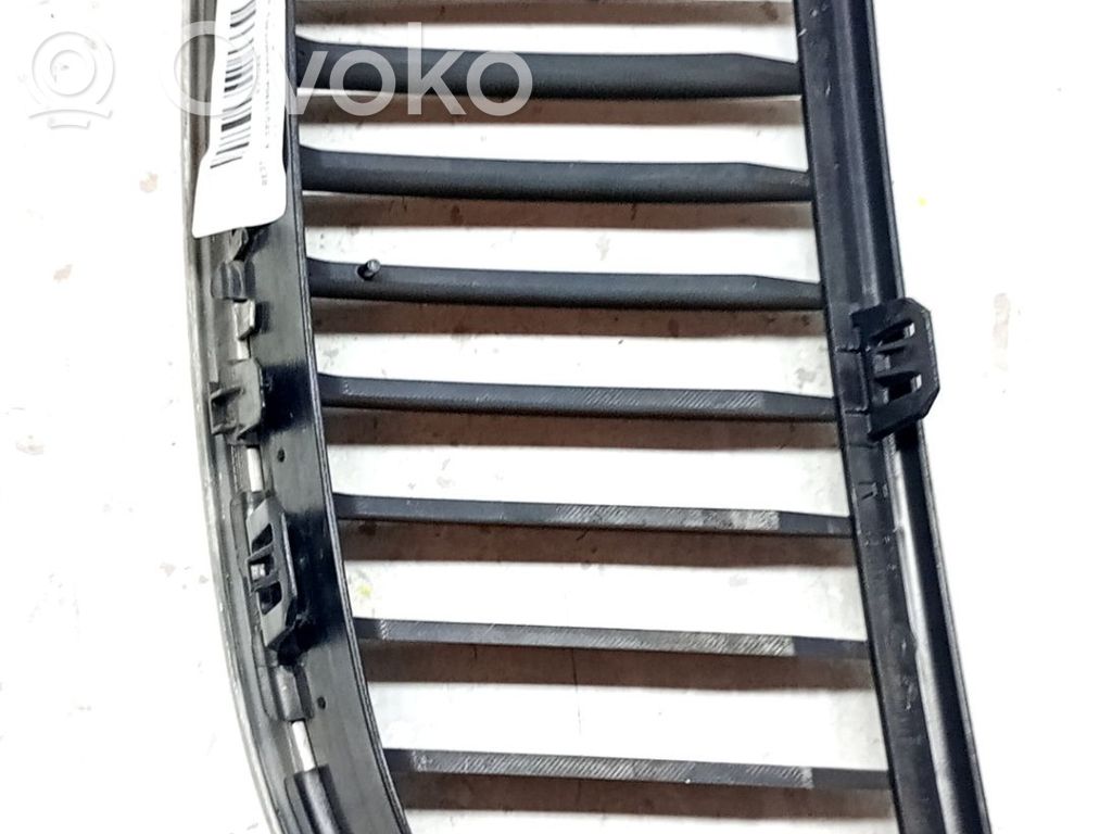 Front bumper lower grill   51137120008