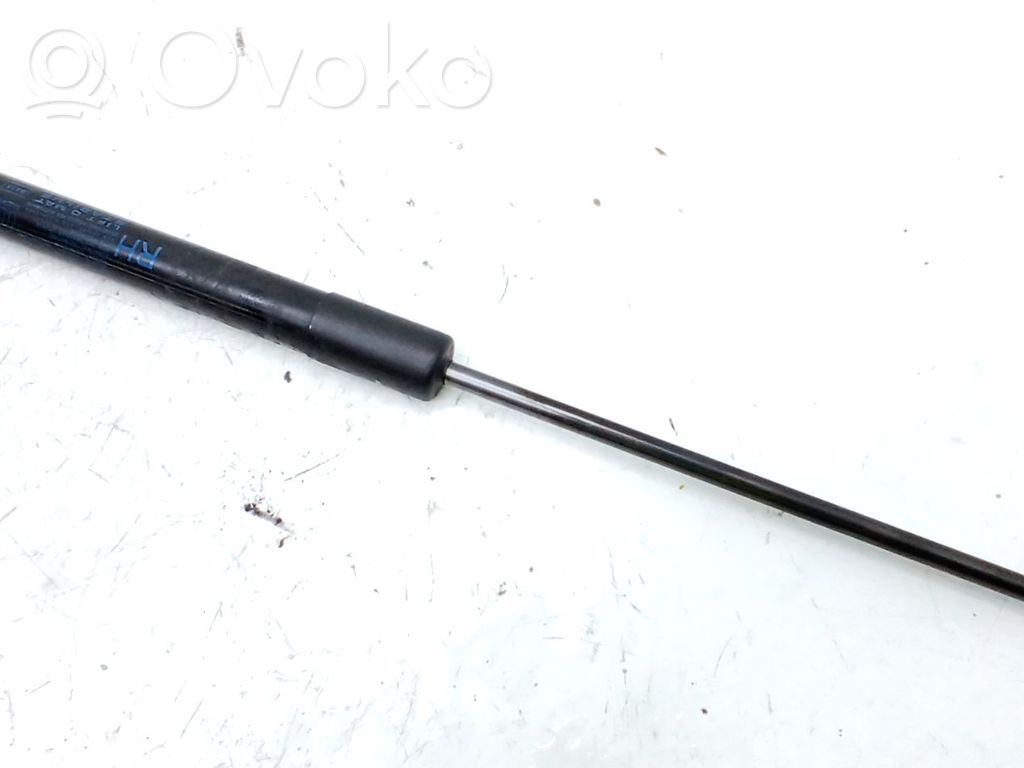 Fiat Tipo Tailgate/trunk/boot lid buffer 