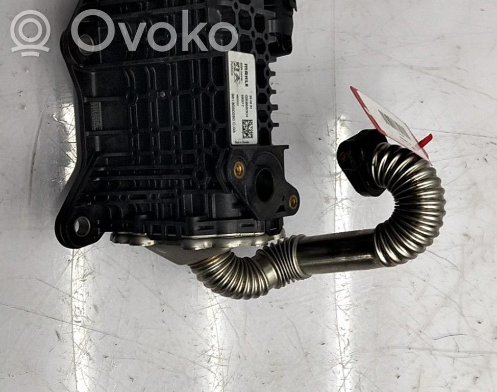 Peugeot Expert Răcitor supapă EGR 