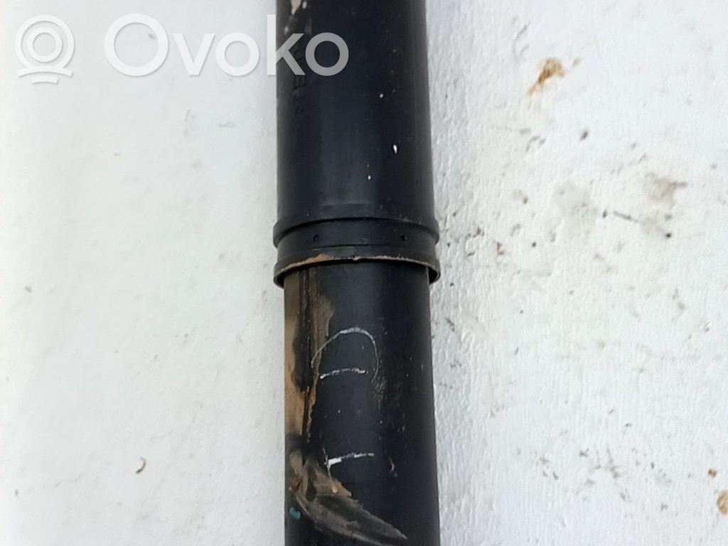 Stoßdämpfer hinten   9816509880