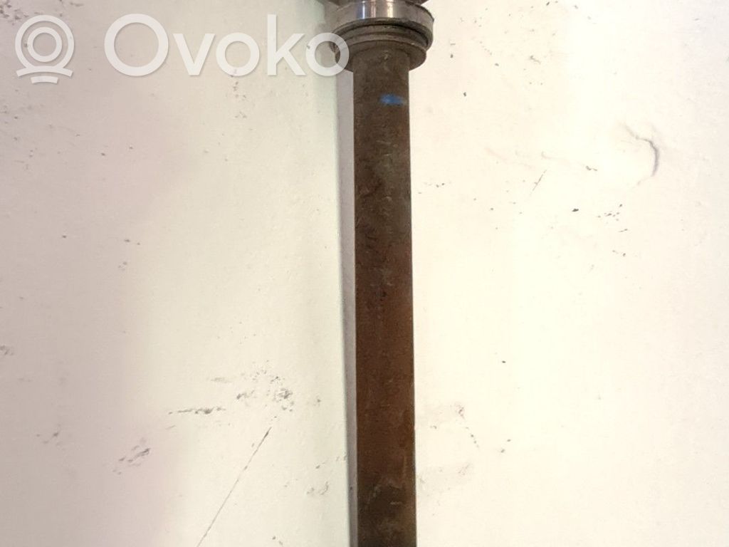 Semiasse anteriore   3273QK