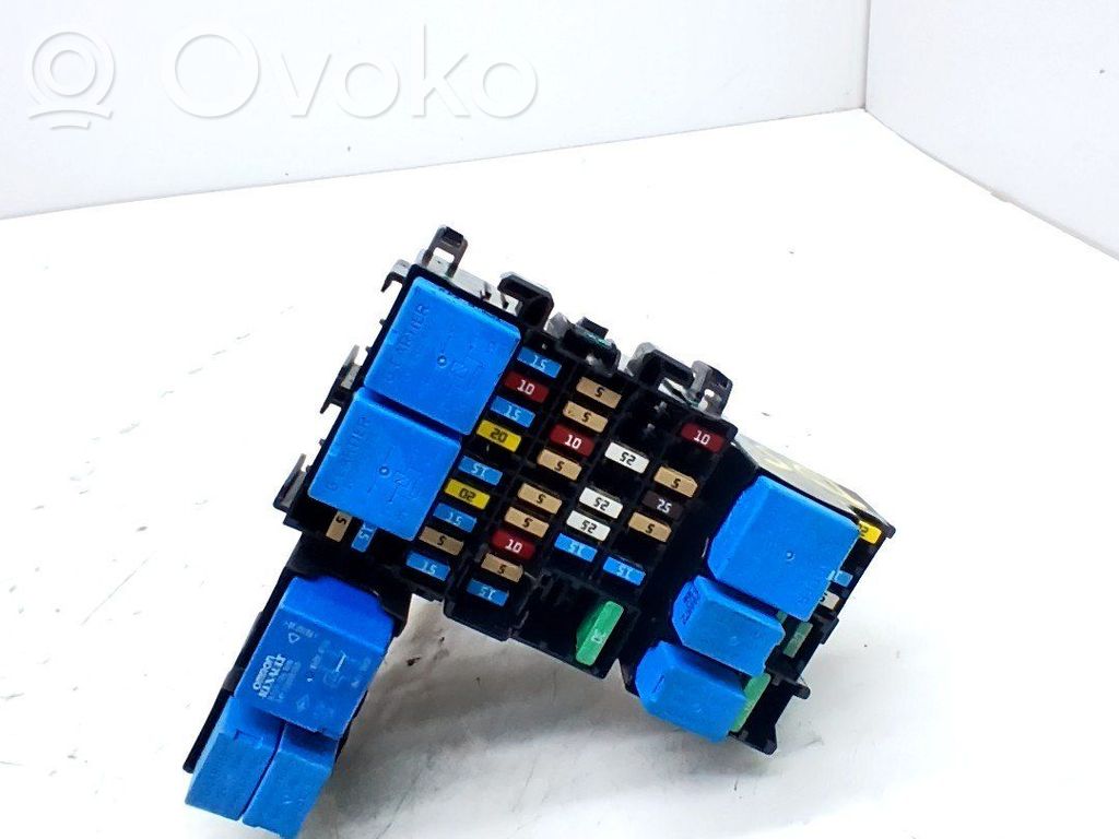 Fuse module   243825499R