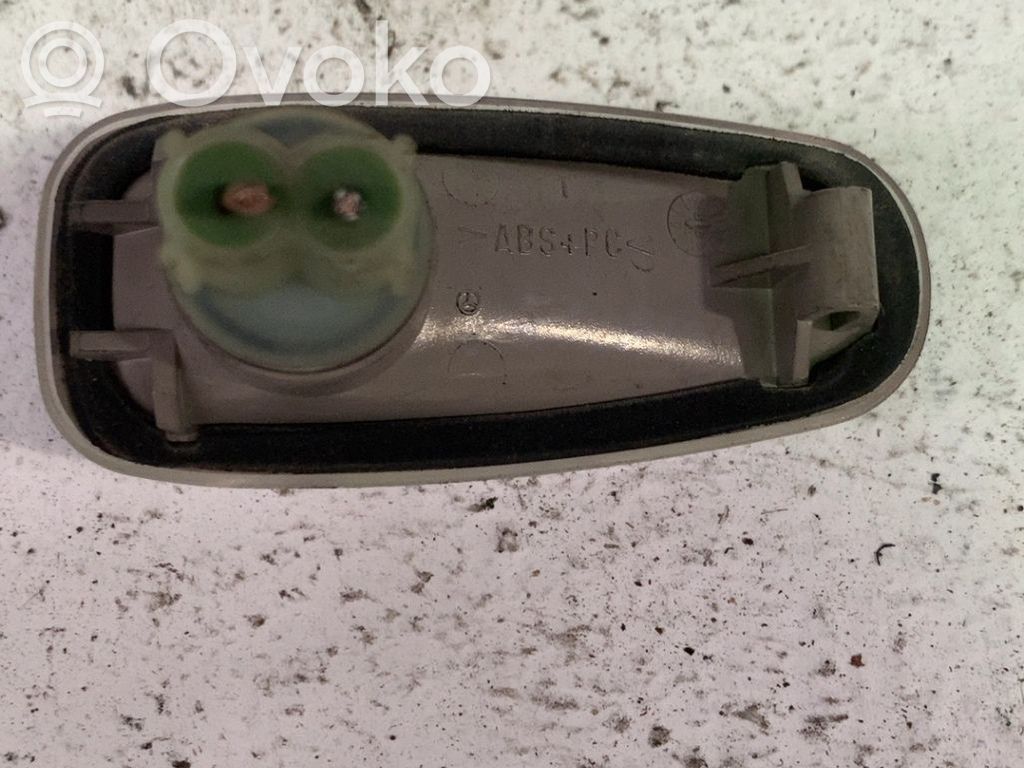 Seitenblinker   A2108200921