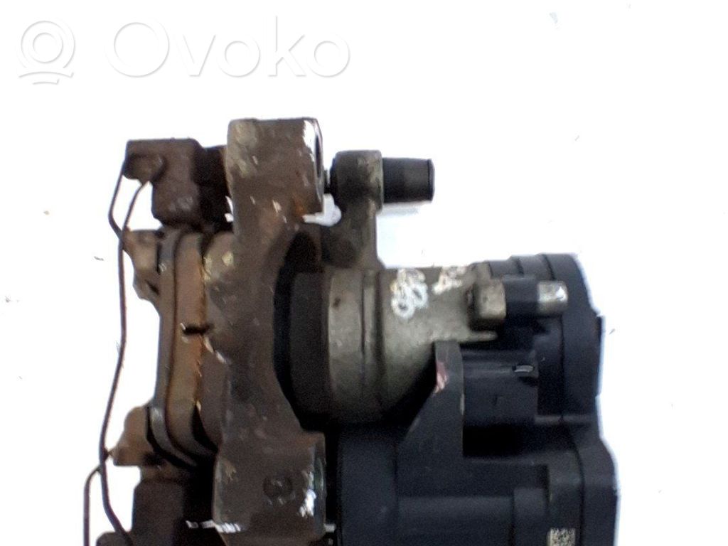 Takajarrusatula   8V0615424