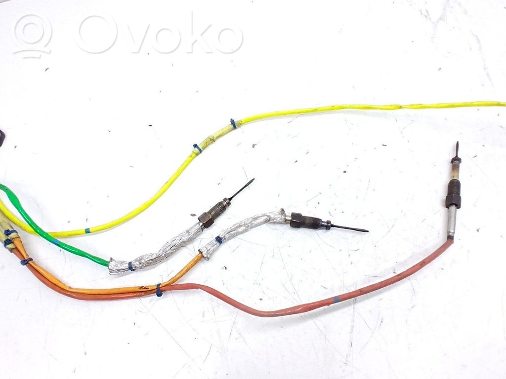 Abgastemperatursensor   226585165R
